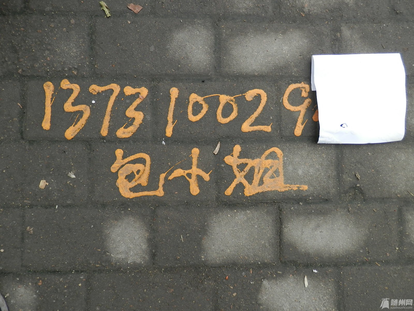 PB020131.JPG