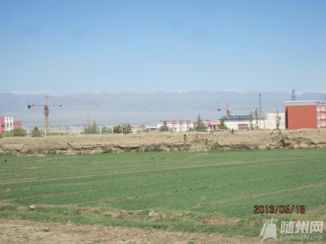 IMG_4603.jpg