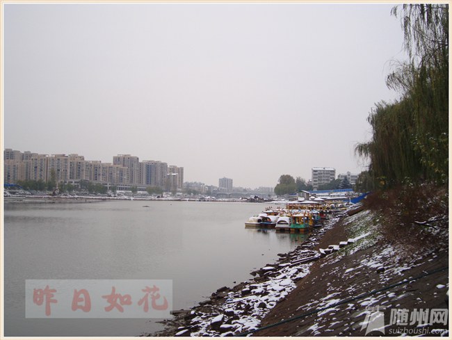 DSC07031.jpg