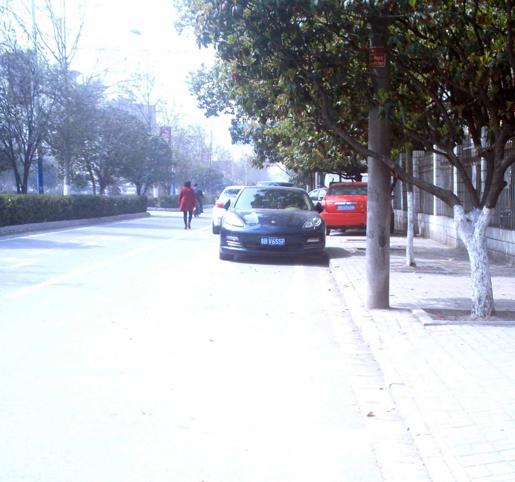 1170.jpg