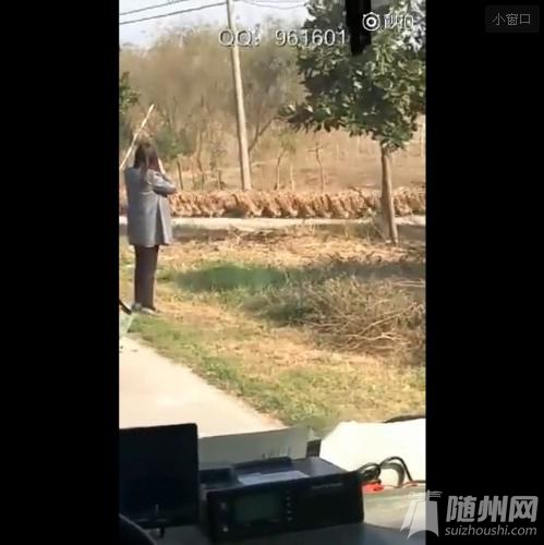 万只鸭子排队过马路