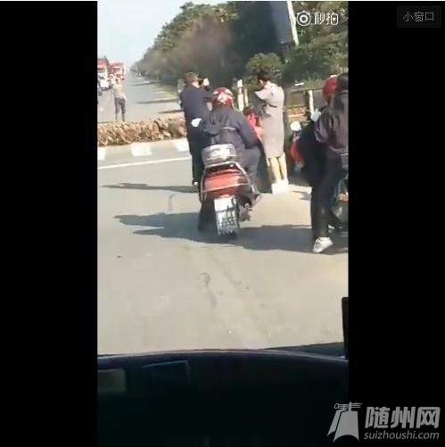万只鸭子排队过马路