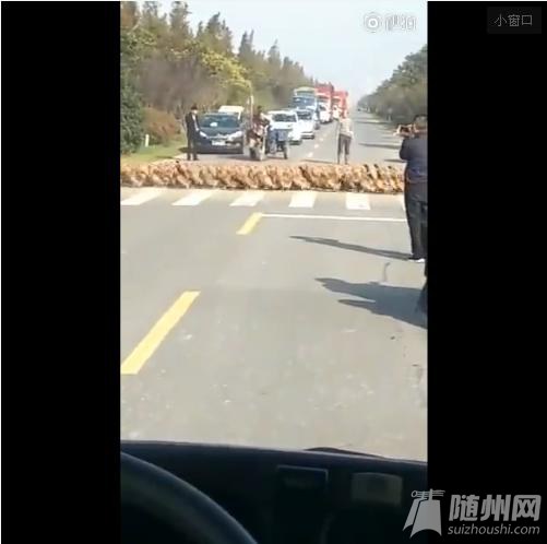 万只鸭子排队过马路