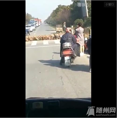 万只鸭子排队过马路