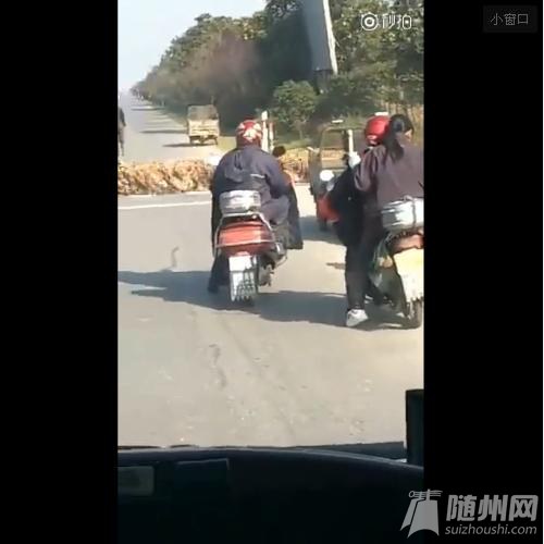 万只鸭子排队过马路