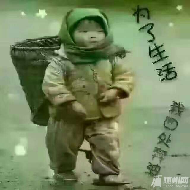 1480993839677.jpg