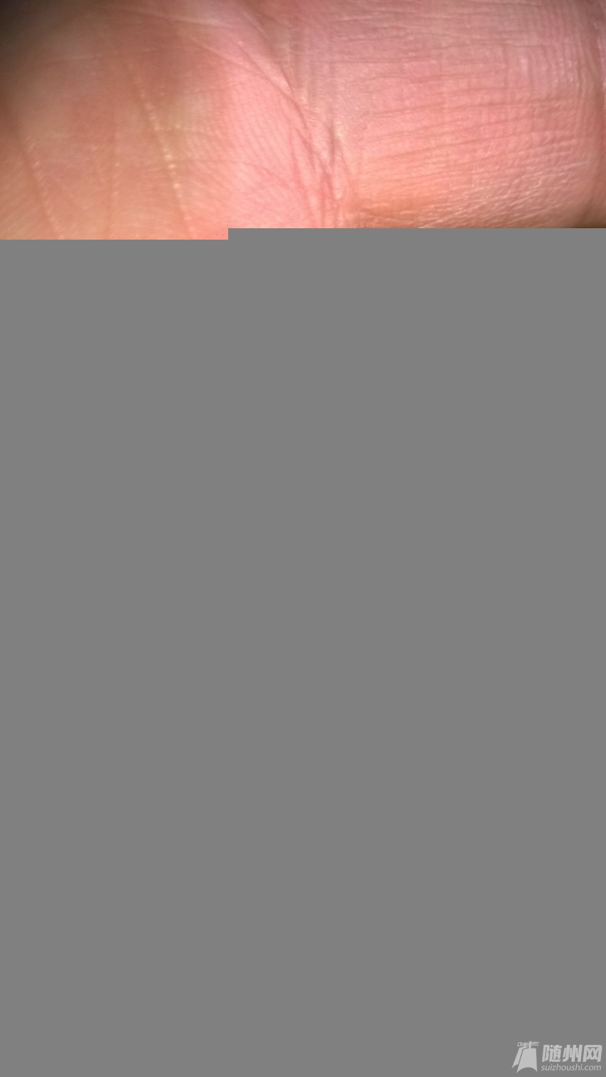 WP_20170101_016.jpg