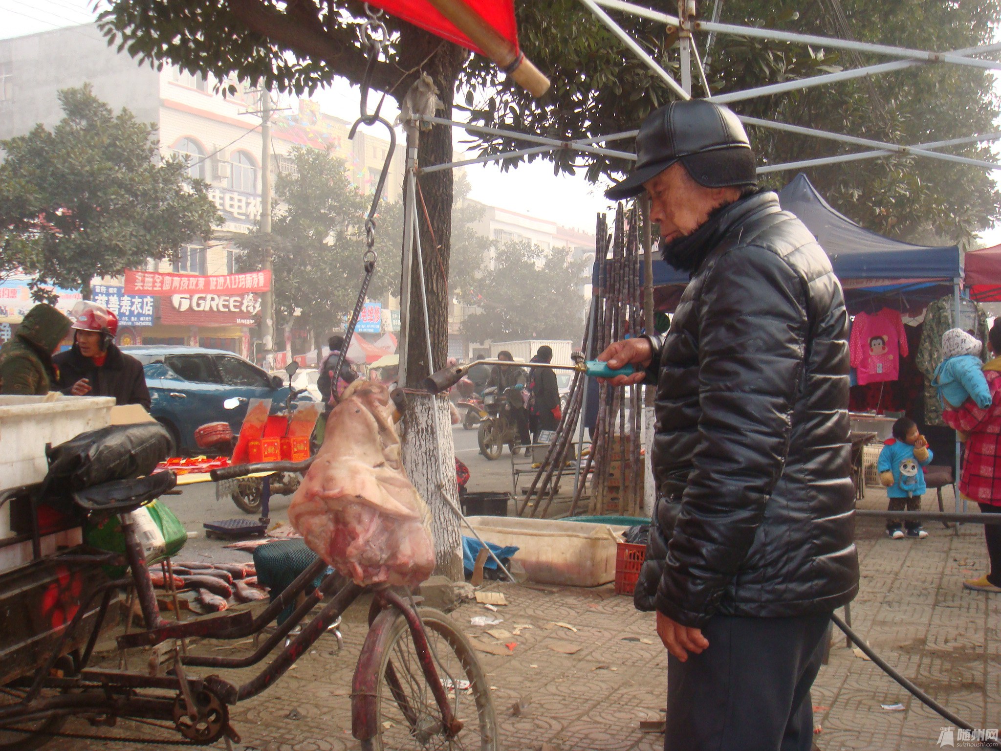 DSC03638.JPG