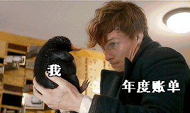 0 (5).gif