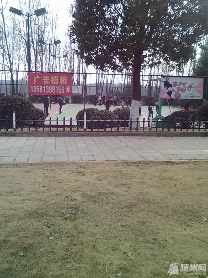 3.jpg