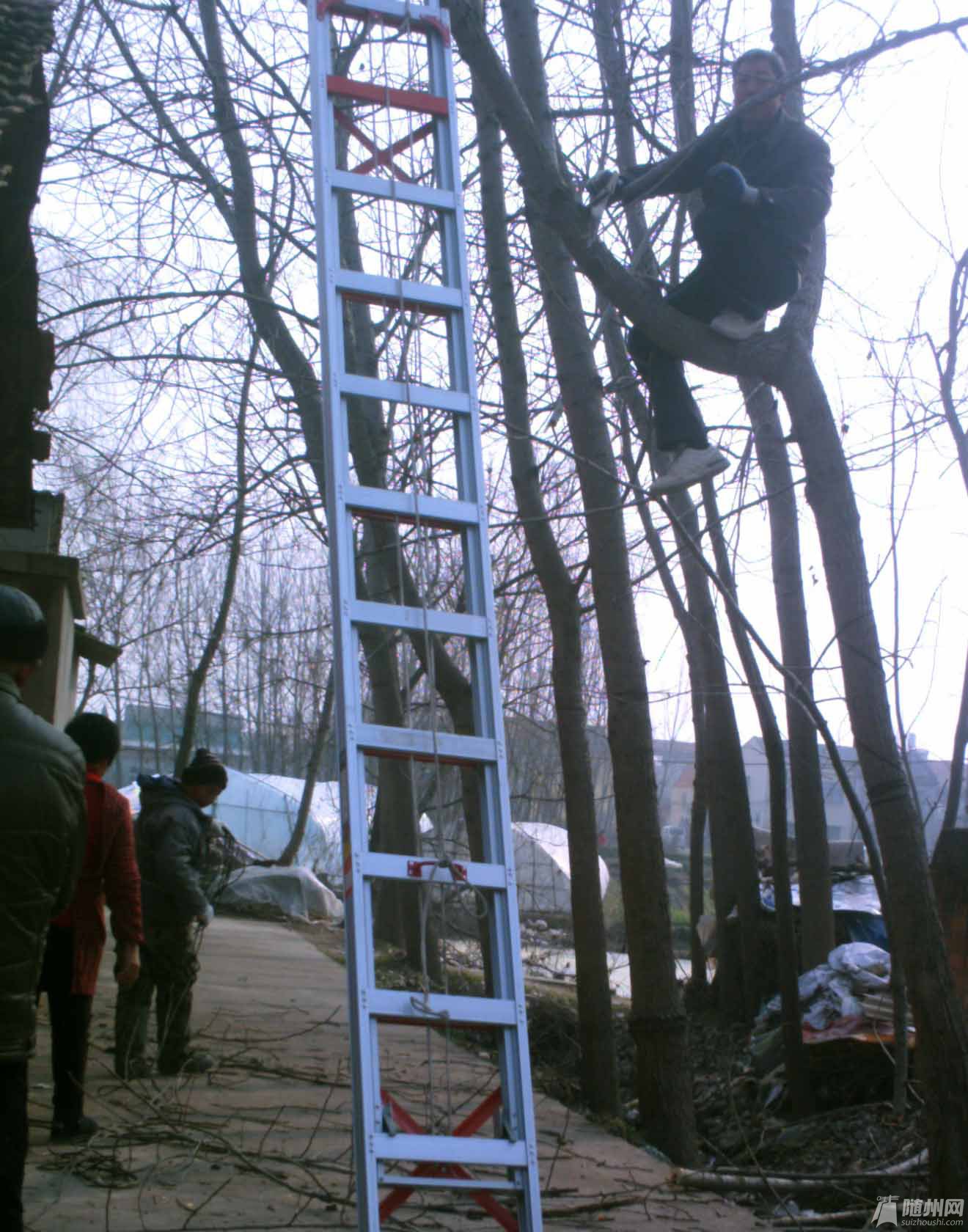 85.jpg