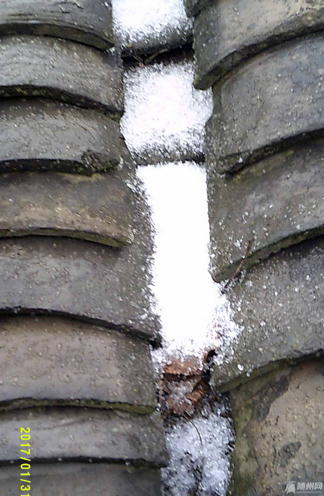 29.JPG
