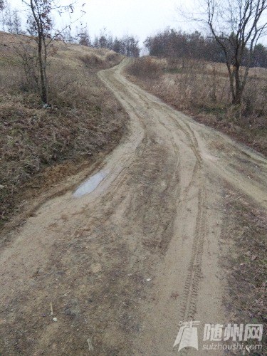 IMG_20170201_172937.jpg
