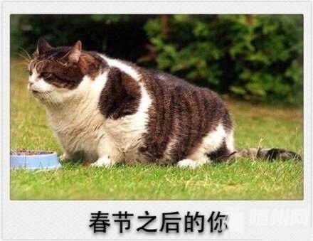 ܽ´ڼ