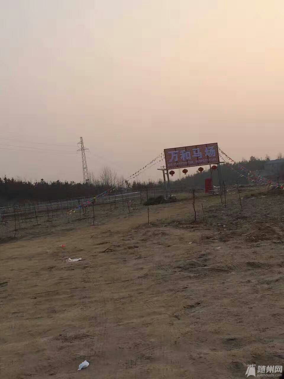 1486295786592.jpg