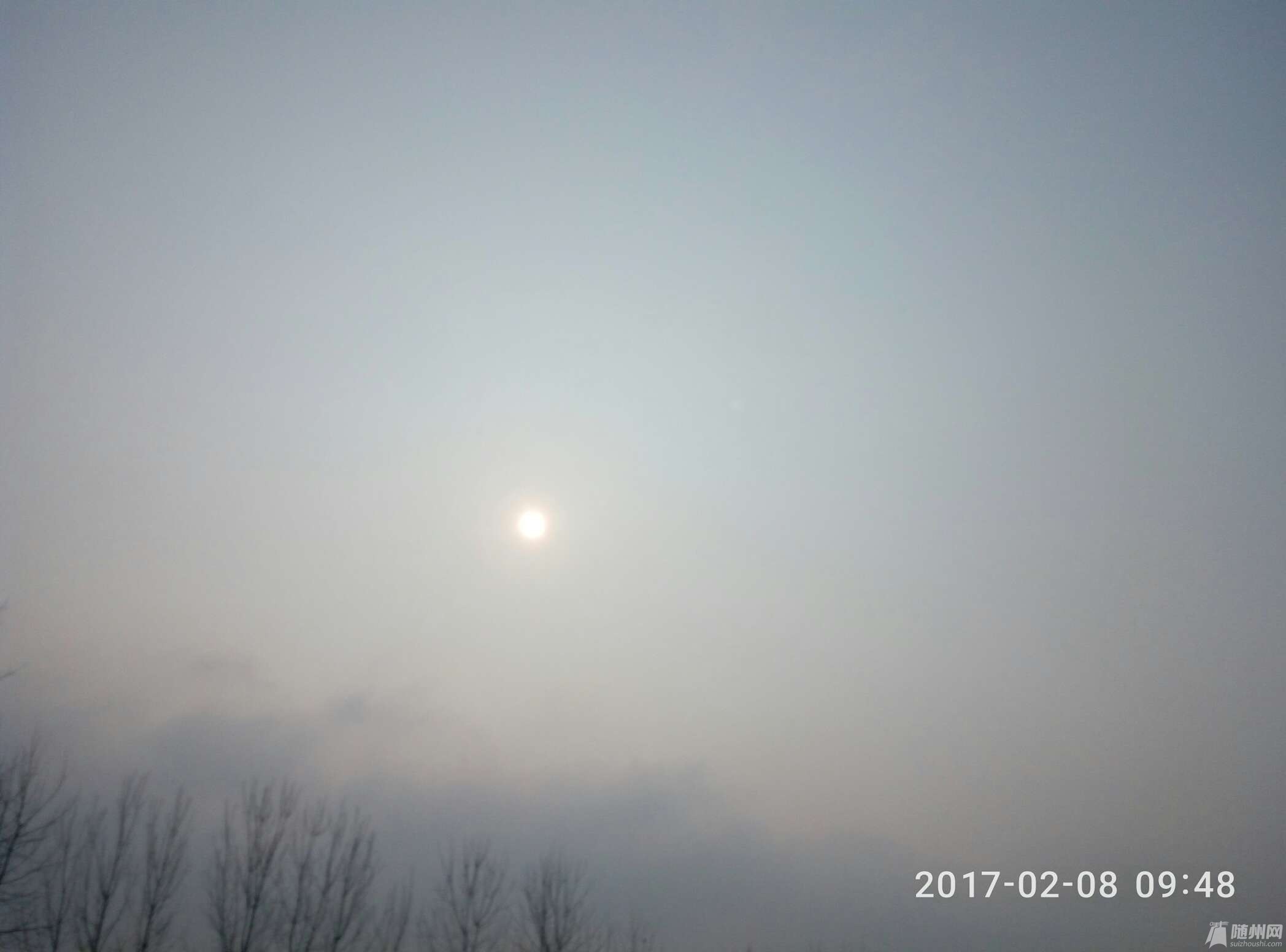 1486902403628.jpg