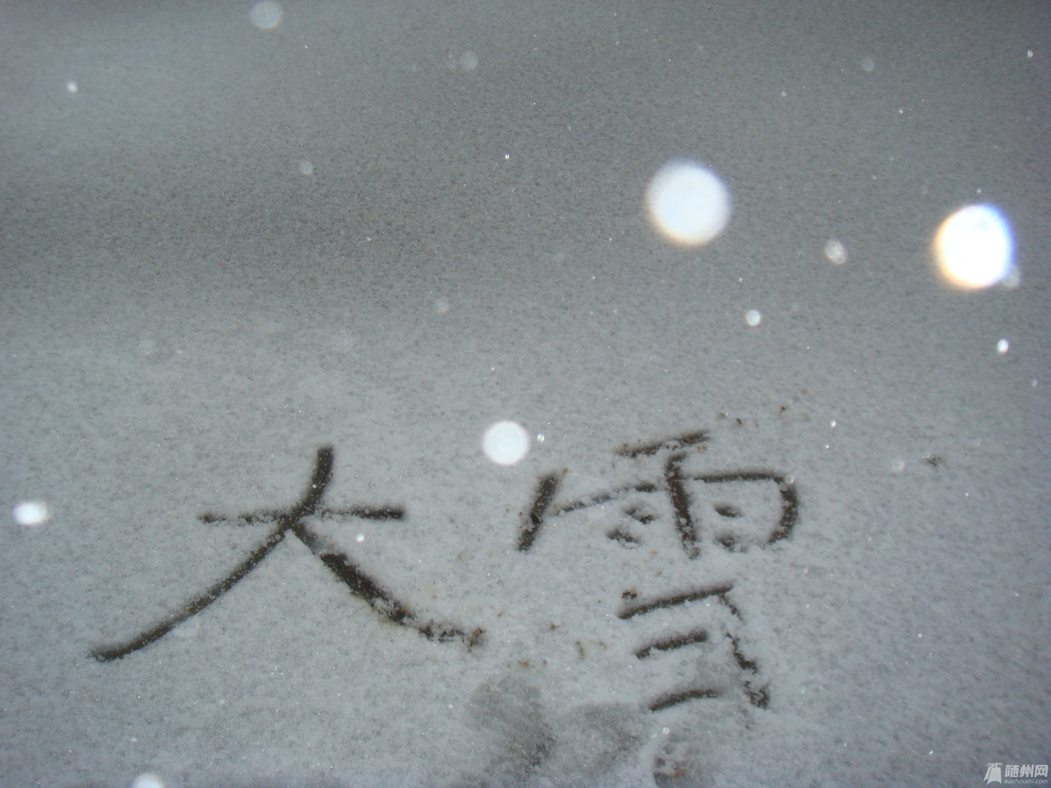 DSC03947.JPG