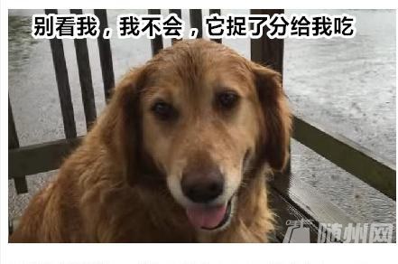 ᲶĹ