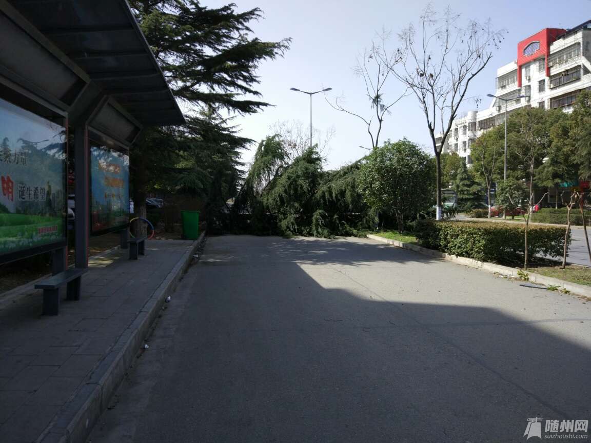 1488351015681.jpg