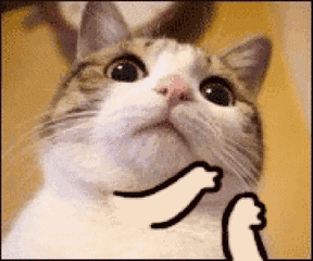 e4fcf9e.gif