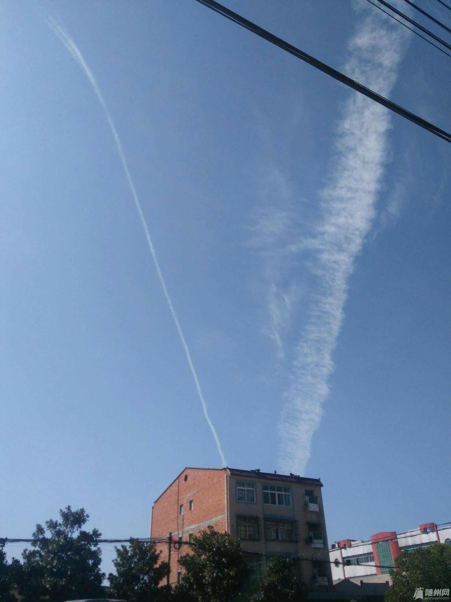 1488434981796.jpg
