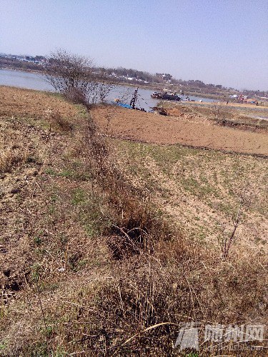 IMG_20170302_103504.jpg