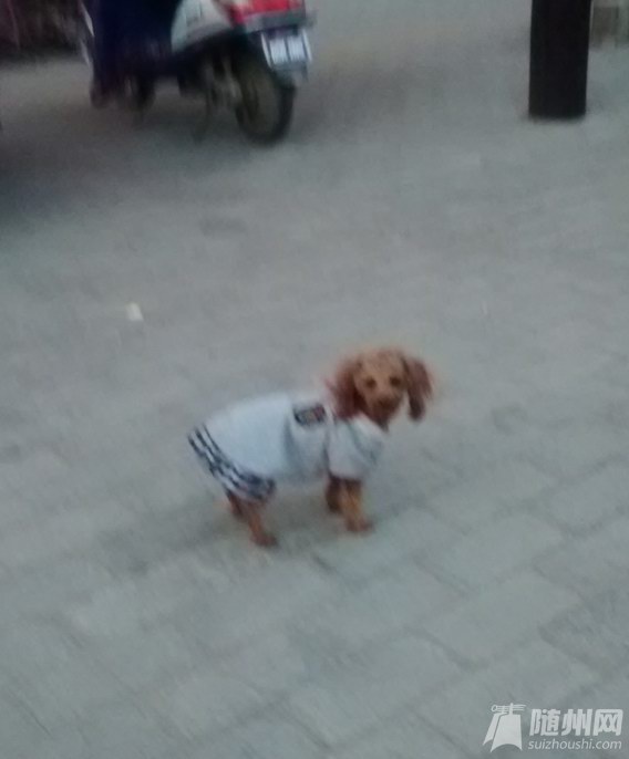 1.jpg