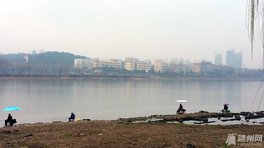 20170304_103652_副本.jpg