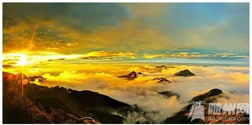 640.webp (9).jpg