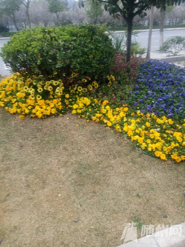 IMG_20170311_172904.jpg