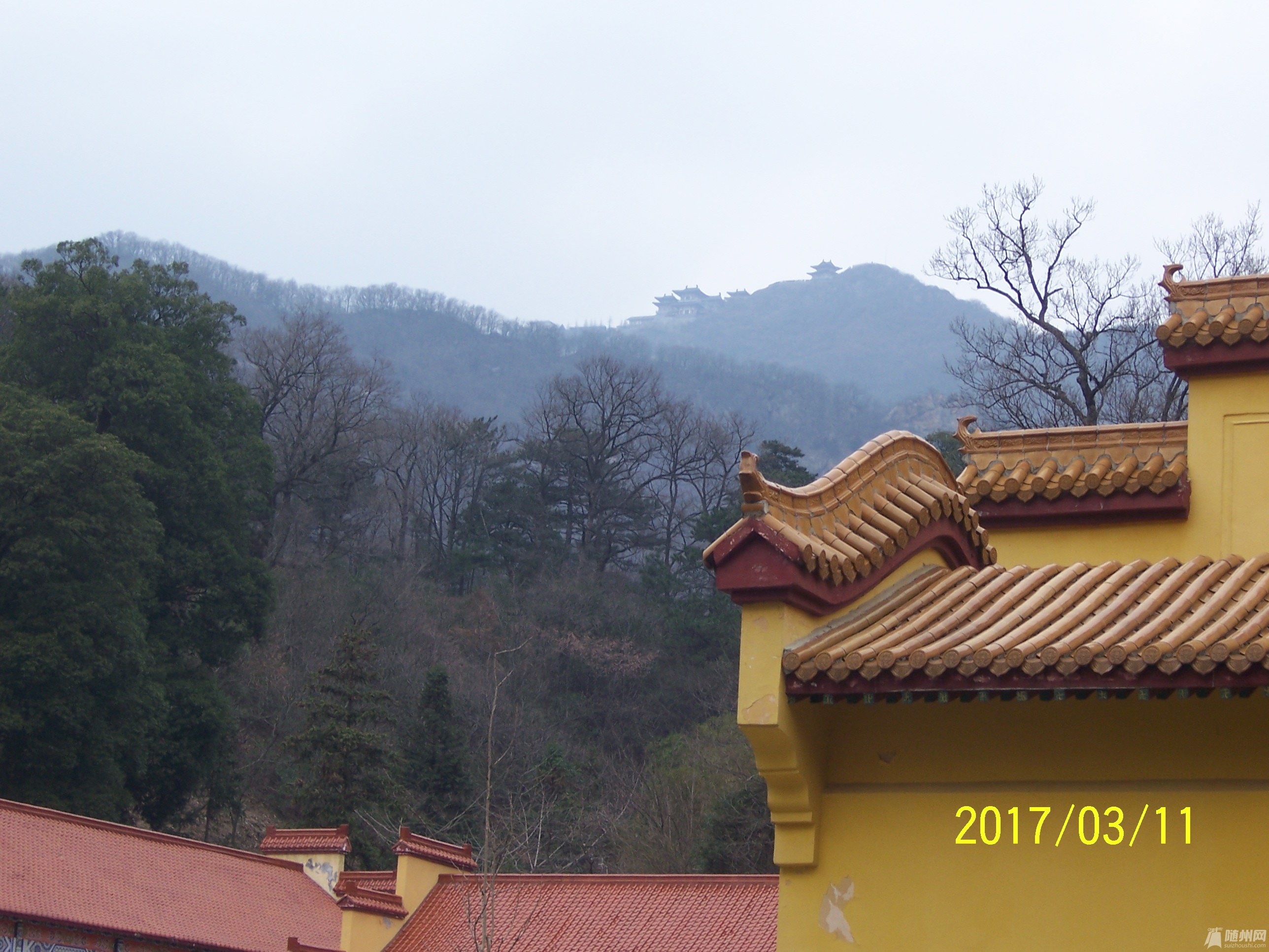 100_6055.JPG
