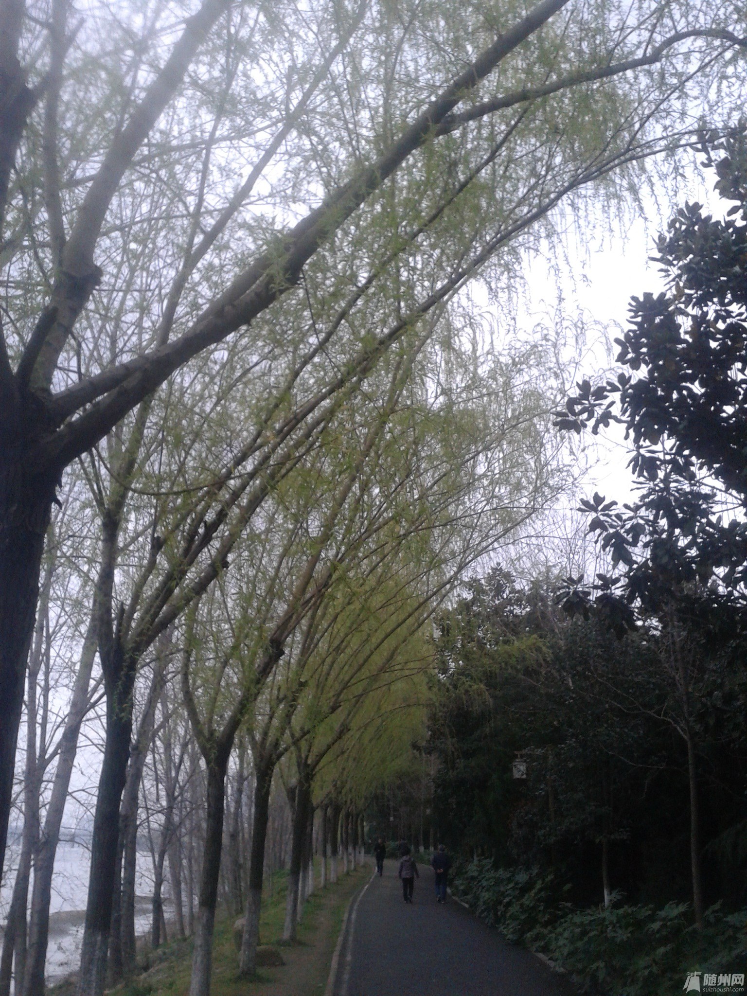 20170322_170315.jpg