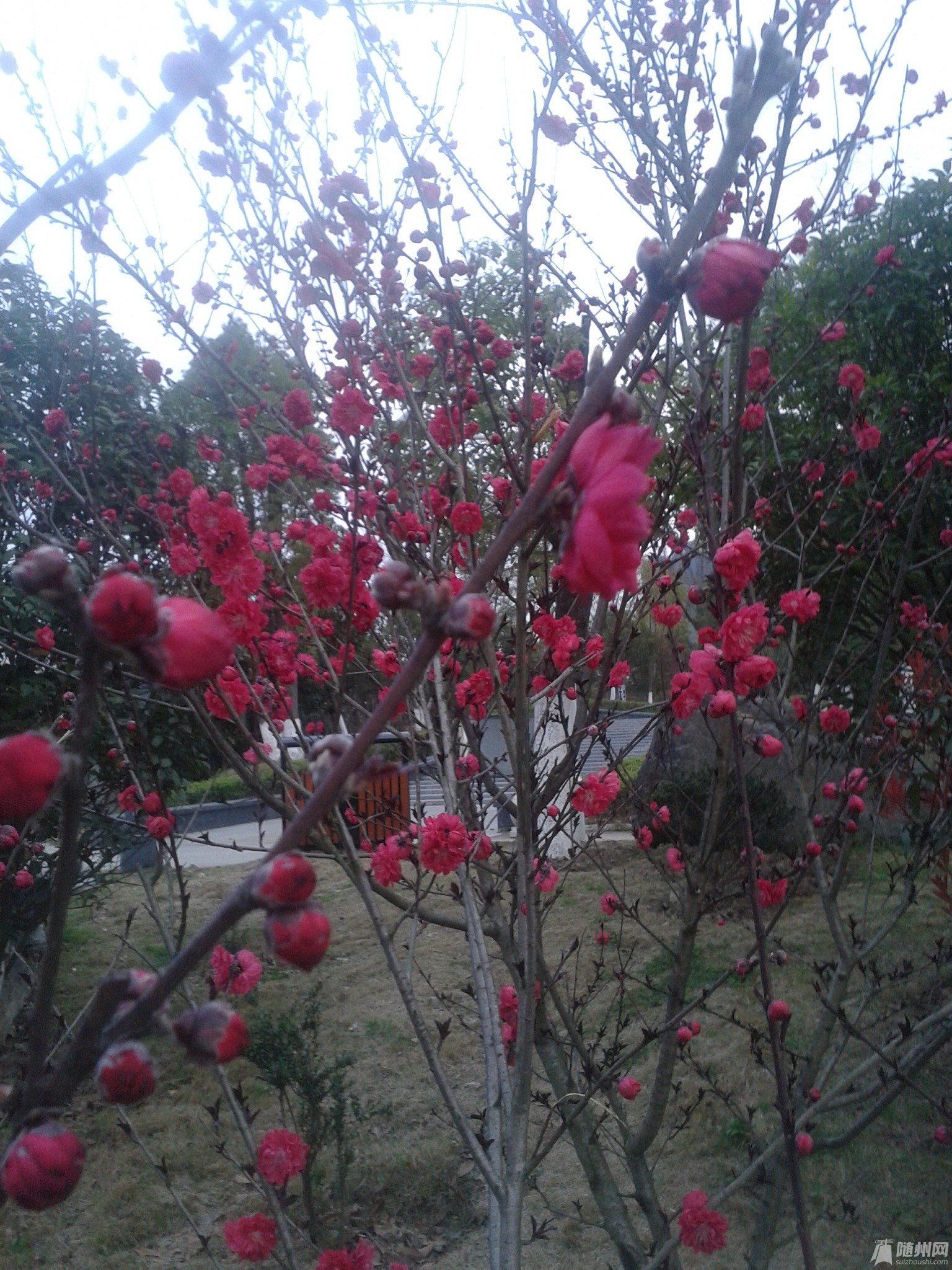 20170320_180013.jpg