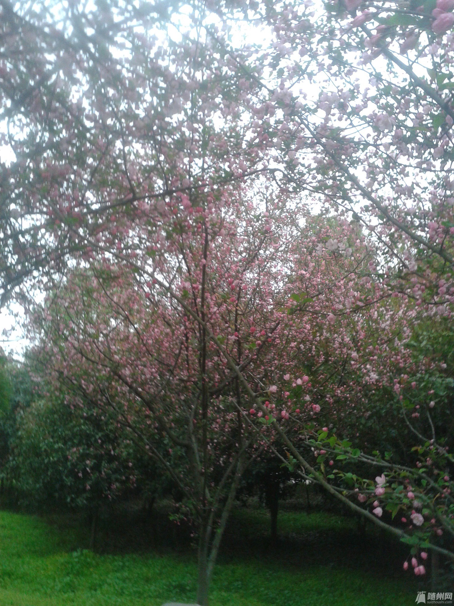 20170321_174555.jpg
