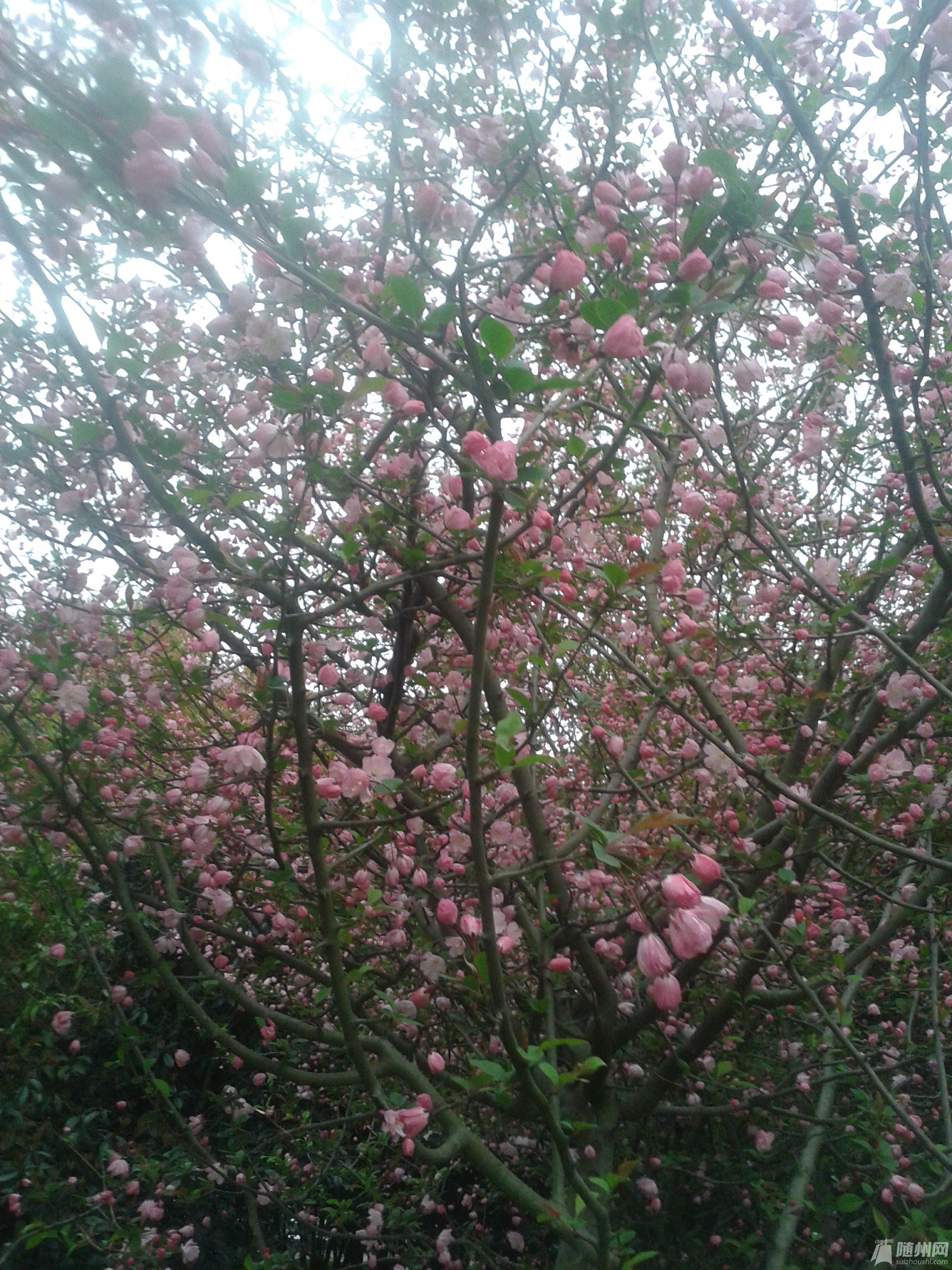 20170321_174544.jpg