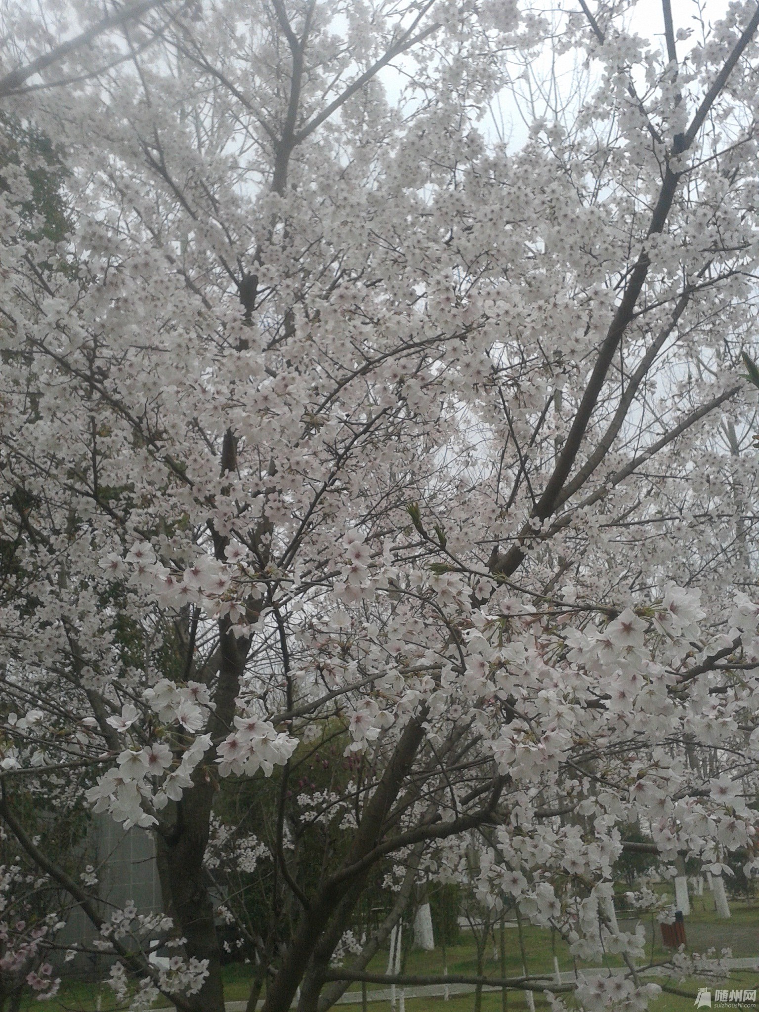 20170322_163755.jpg