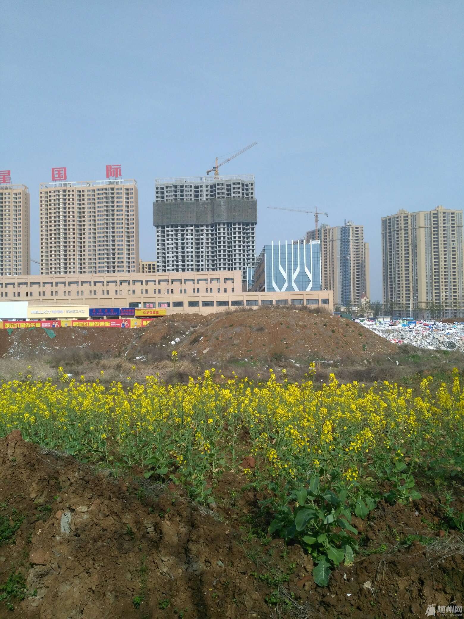 1490490571622.jpg