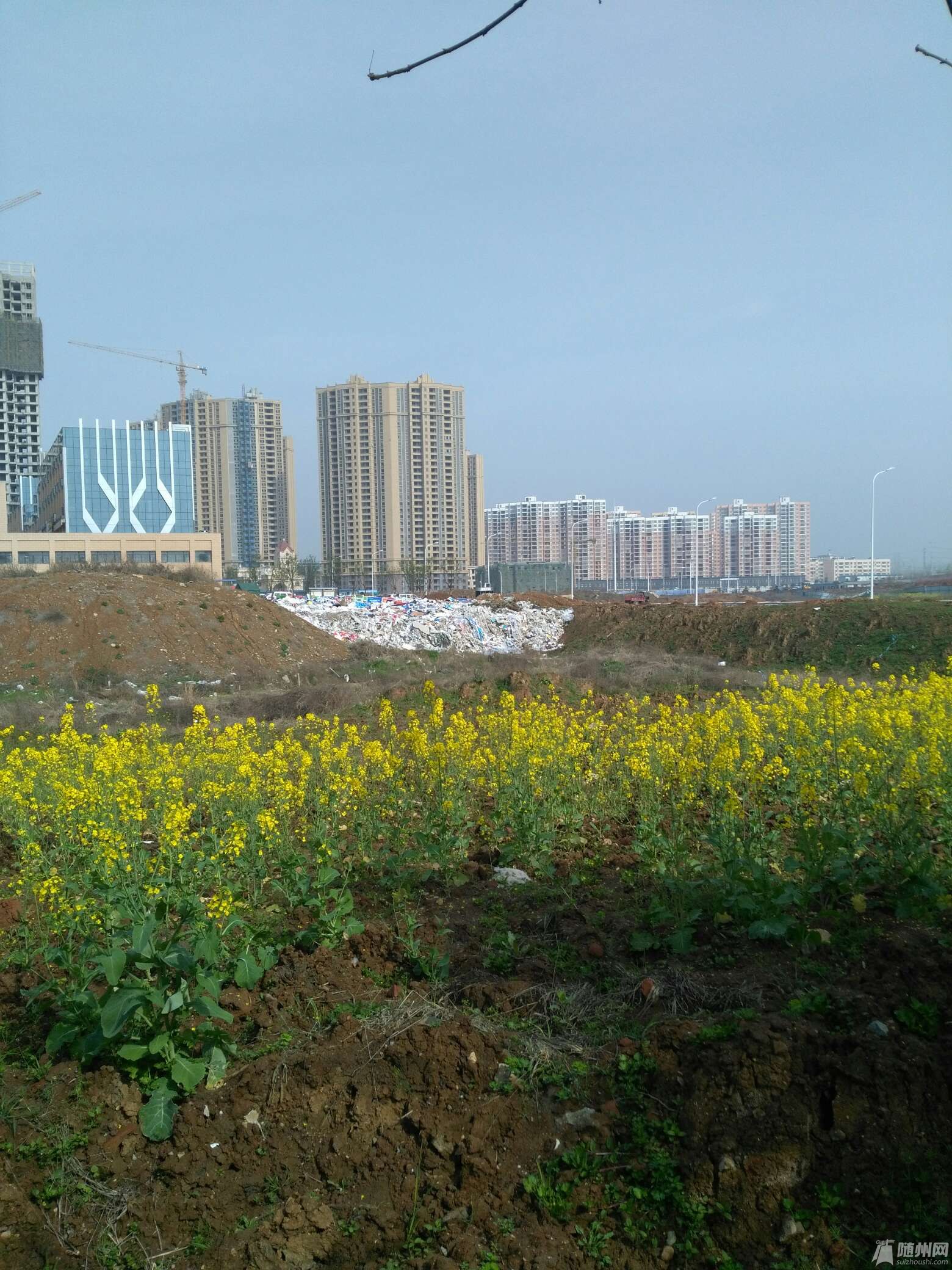 1490490575501.jpg