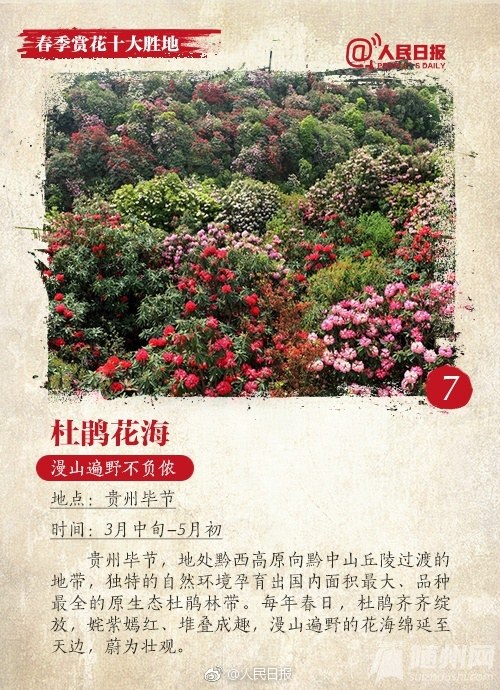春季赏花十大胜地