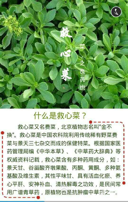 QQ图片20170323094621.jpg