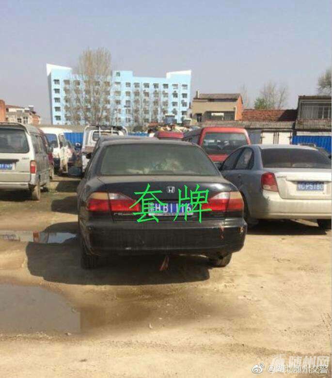 1490609825366.jpg