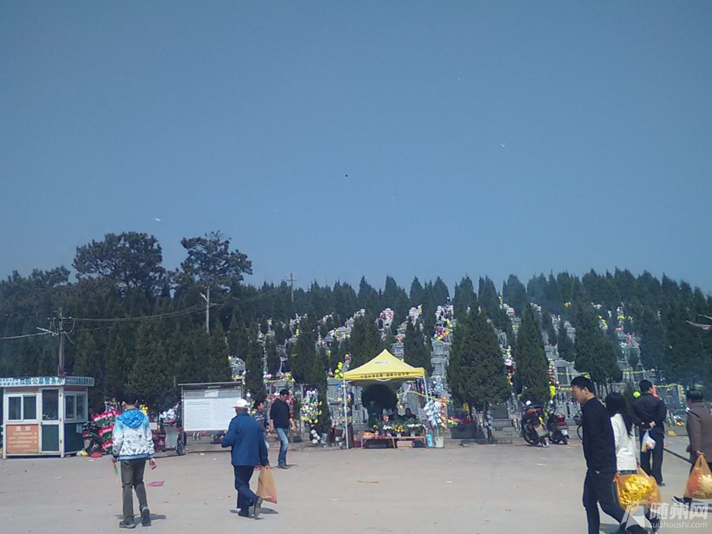 18.jpg