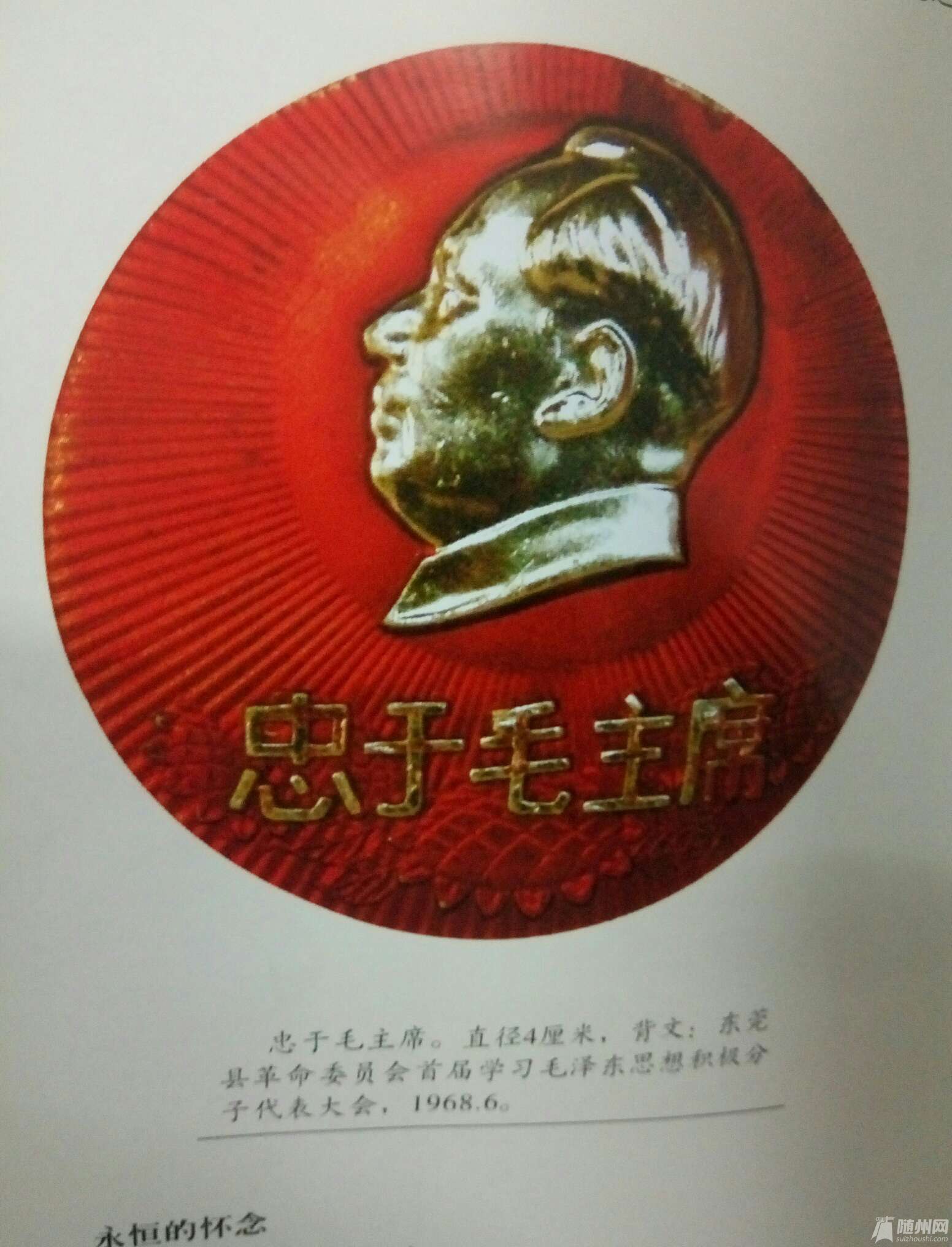 1491311239812.jpg
