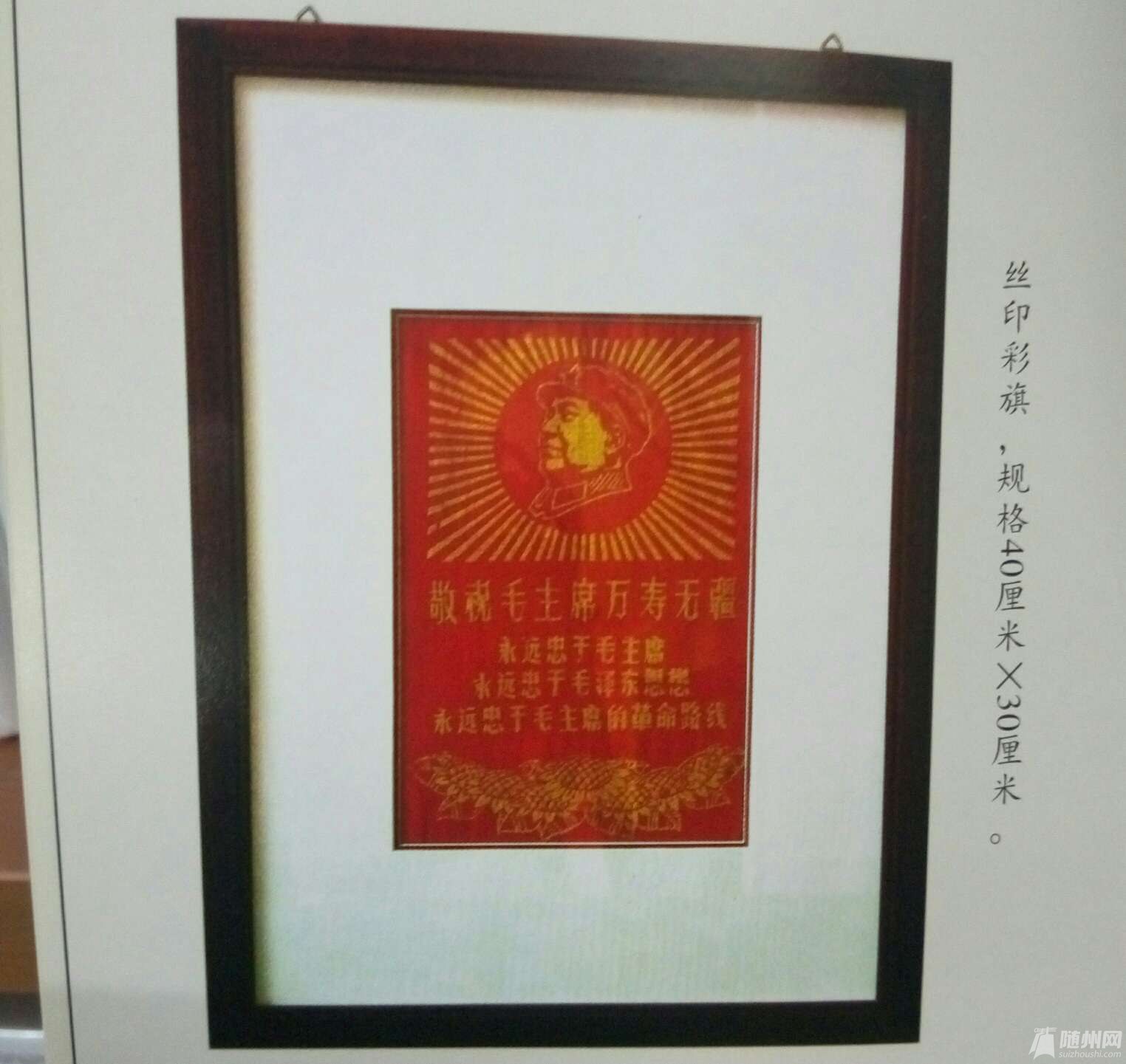 1491311252384.jpg