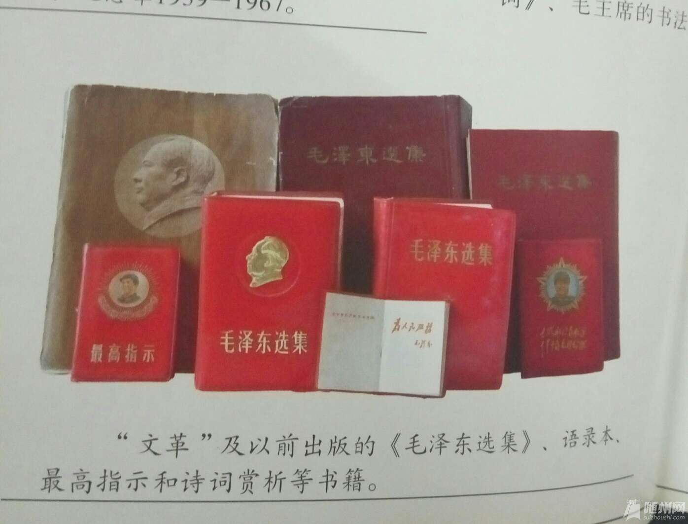 1491311259125.jpg