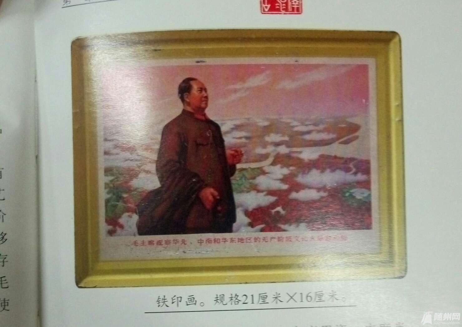 1491311268323.jpg