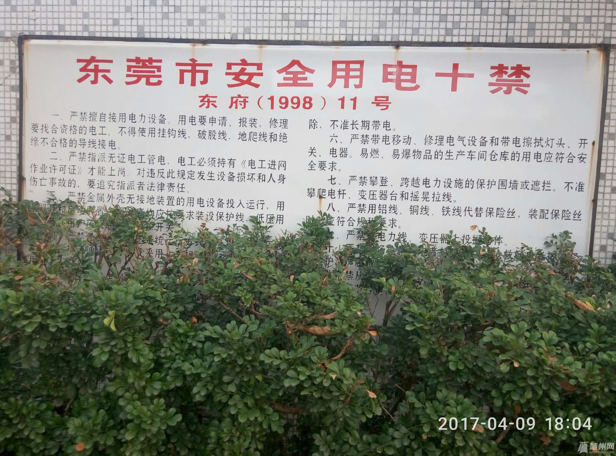 1491736459801.jpg