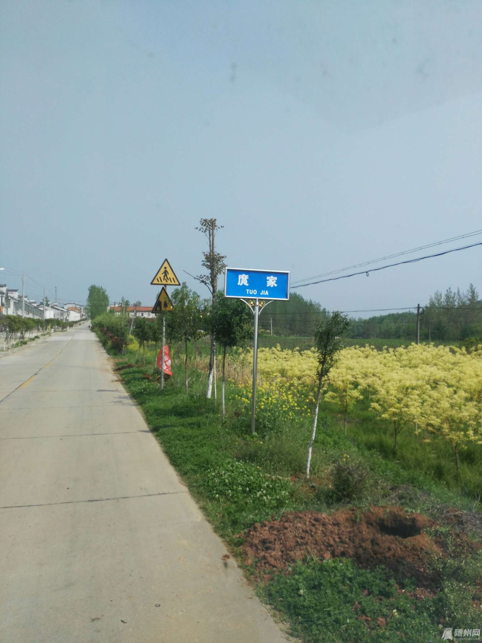 1492234863973.jpg