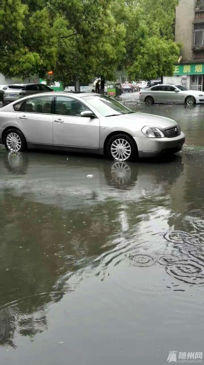 1492339876828.jpg