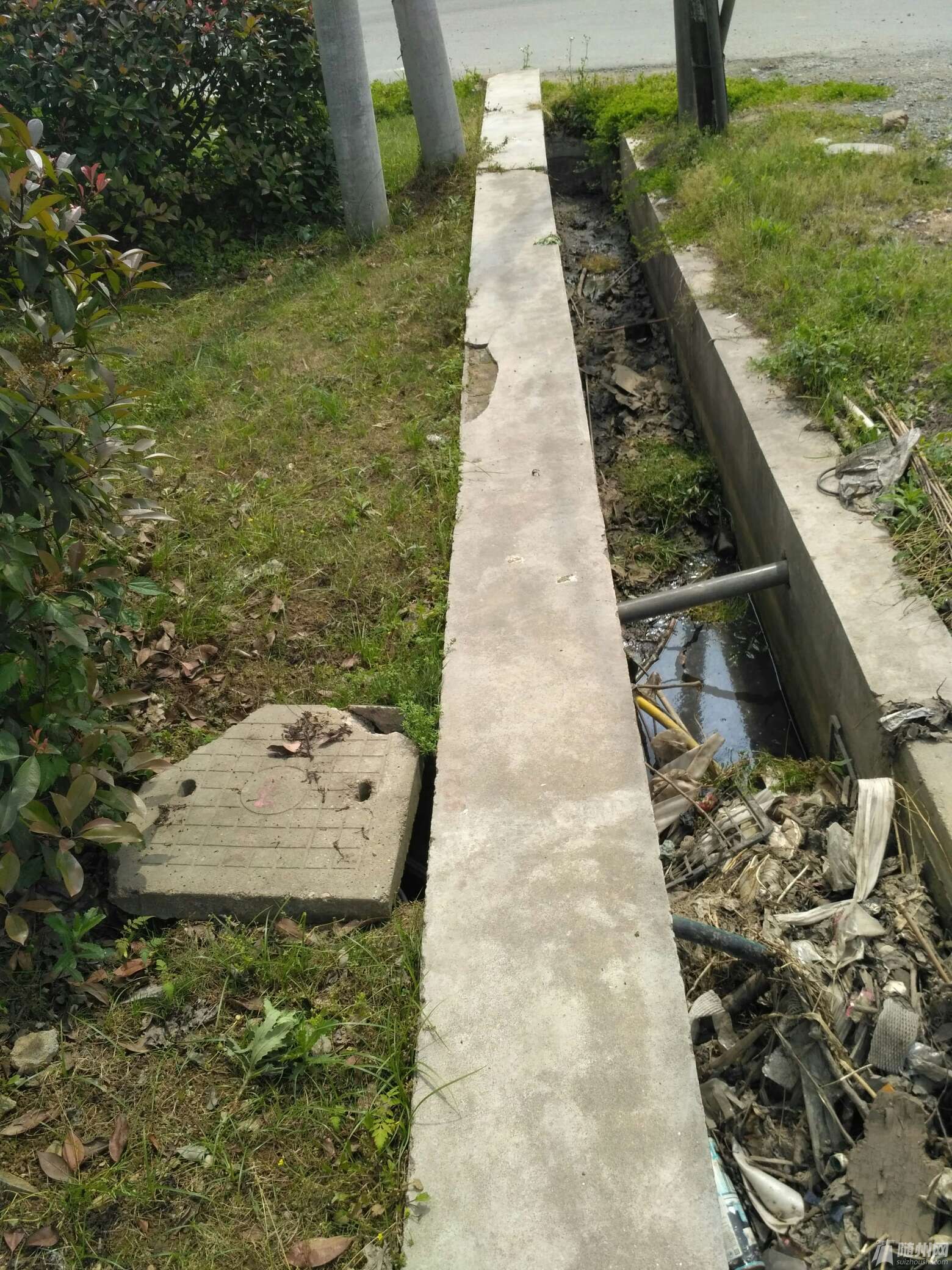 1493422307933.jpg